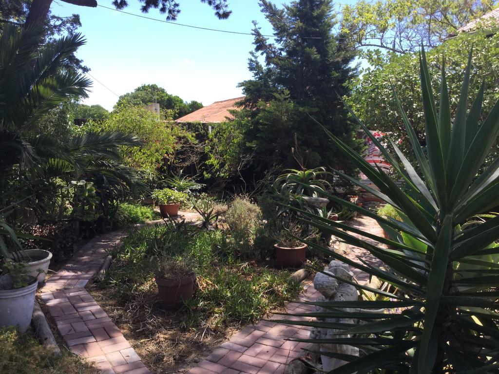 The Buddha Garden Cape Town Dış mekan fotoğraf